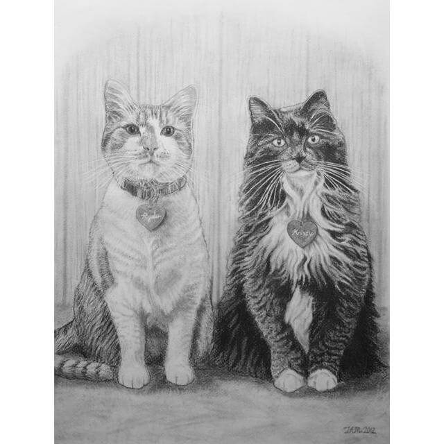 Cat pet portrait, pencil drawing