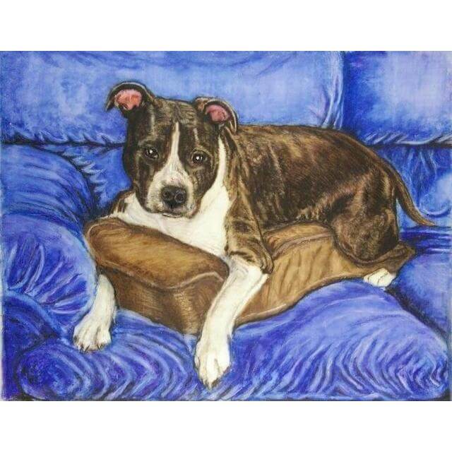 dog portrait in colored pencil