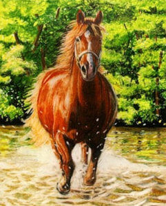 horse portraits in pastel