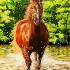 horse portraits in pastel