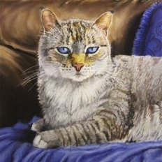 cat portraits in pastel